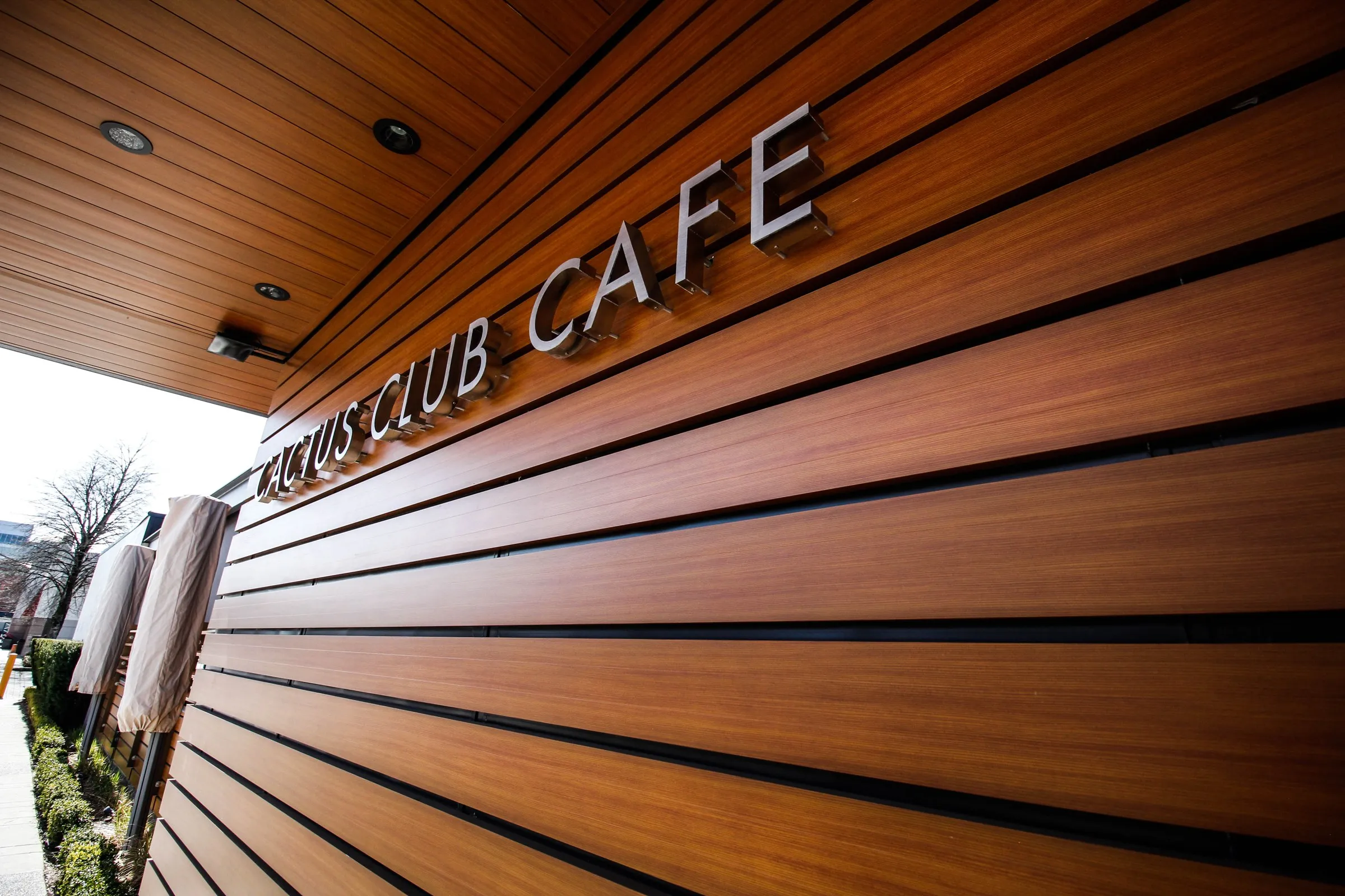 Cactus Club